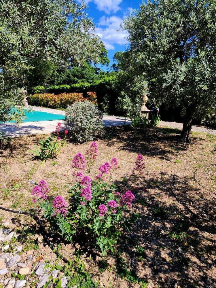 Le Clos Renaissance Oppede Exterior photo